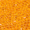 FGB Transparent Glass Seed Beads SEED-N013-01A-11-3
