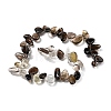 Natural Smoky Quartz Beads Strands G-I292-01-2