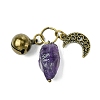 Natural Amethyst Pet Collar Charms HJEW-PH01731-2