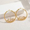 304 Stainless Steel & Clear Cubic Zirconia Hoop Earrings WGAD5E2-02-2