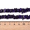 Natural Freshwater Shell Beads Strands SHEL-T020-40B-4