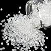 MIYUKI Round Rocailles Beads SEED-X0055-RR0160-1