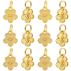 40Pcs Rack Plating Alloy Charms FIND-BBC0003-41G-1