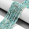 Natural HuBei Turquoise Beads Strands G-G792-38-01-2