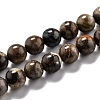 Round Natural Ocean Agate/Ocean Jasper Beads Strands G-O199-02B-1