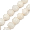 Natural White Shell Beads Strands BSHE-U002-01-2