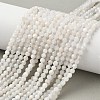 Natural Moonstone Beads Strands G-C201-B06-4mm-1
