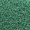 TOHO Round Seed Beads SEED-XTR11-2119-2