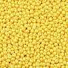 6/0 Glass Seed Beads SEED-L011-08A-17-3