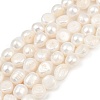 Natural Cultured Freshwater Pearl Beads Strands PEAR-P064-20L-01A-2