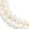 Round Shell Pearl Beads Strands BSHE-XCP0001-40B-4