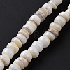 Natural Cultured Freshwater Shell Beads Strands SHEL-F002-01D-3