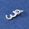 925 Sterling Silver Figure Charms STER-M093-05S-03-2