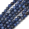 Natural Sodalite Beads Strands X-G-G515-6mm-07-5