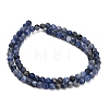 Natural South Africa Sodalite Beads Strands G-S259-35-4mm-6