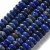 Natural Lapis Lazuli Beads Strands G-Z030-A22-01-2