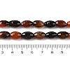 Natural Agate Beads Strands G-Q194-B01-01F-5