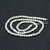 Natural White Moonstone Beads Strands X-G-P342-02A-4mm-AA-2