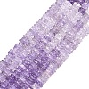 Natural Amethyst Beads Strands G-Z152-F05-03-2