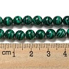 Synthetic Malachite Beads Strands G-B071-F01-02-4