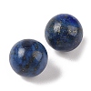 Natural Lapis Lazuli No Hole Sphere Beads G-K353-04A-10-2