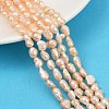 Natural Cultured Freshwater Pearl Beads Strands PEAR-P064-20H-02B-1