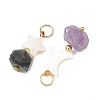 2Pcs 2 Styles Faceted Natural Mixed Stone and Shell Pendants PALLOY-JF06050-2