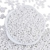 Baking Paint Glass Seed Beads SEED-K010-A03-3