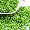 Baking Paint Glass Seed Beads X1-SEED-A032-02A-1