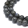 Natural Larvikite Beads Strands G-O201A-07B-3