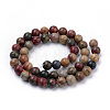 Natural Polychrome Jasper/Picasso Stone/Picasso Jasper Beads Strands G-S259-23-8mm-2