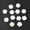 Natural Freshwater Shell Beads LS-BSHE-E026-06-1