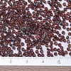 MIYUKI Round Rocailles Beads SEED-G007-RR4503-4