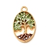 304 Stainless Steel Rhinestone Pendants SA-CBA59D3-04G-01-1