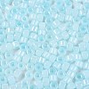 Glass Seed Beads SEED-T008-01F-3