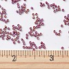 MIYUKI Delica Beads SEED-MY11-DB2275-4