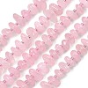 Natural Rose Quartz Beads Strands G-F821-B02-01-2