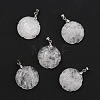 Natural Quartz Crystal Pendants G-I319-02P-09-1