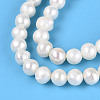 Natural Keshi Pearl Beads Strands PEAR-N013-04I-4