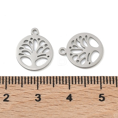 304 Stainless Steel Charms STAS-P433-05P-1