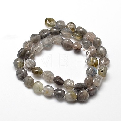 Natural Labradorite Nuggets Beads Strands G-J336-08-1