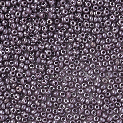 11/0 Czech Opaque Glass Seed Beads SEED-N004-003B-06-1