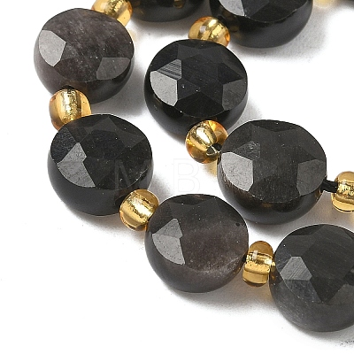 Natural Silver Sheen Obsidian Beads Strands G-G271-C08-10mm-1