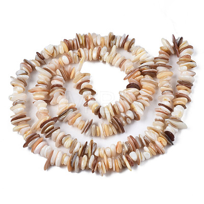 Natural Freshwater Shell Beads Strands SHEL-S278-071D-1