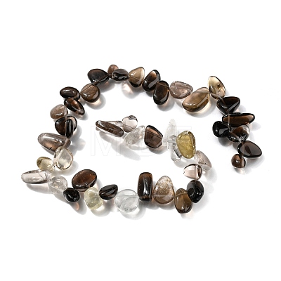 Natural Smoky Quartz Beads Strands G-I292-01-1