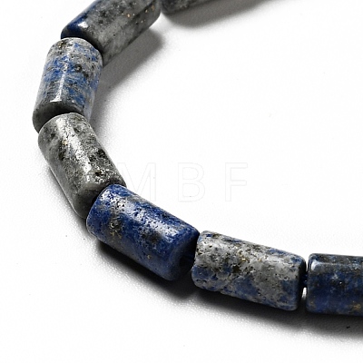 Natural Lapis Lazuli Beads Strands G-I326-05B-1