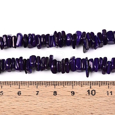 Natural Freshwater Shell Beads Strands SHEL-T020-40B-1