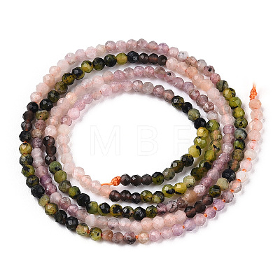 Natural Mixed Gemstone Beads Strands G-D080-A01-03-12-1