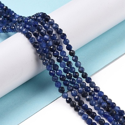 Natural Sodalite Beads Strands G-C009-A07-1