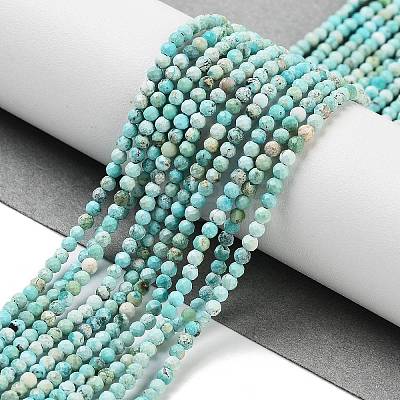 Natural HuBei Turquoise Beads Strands G-G792-38-01-1